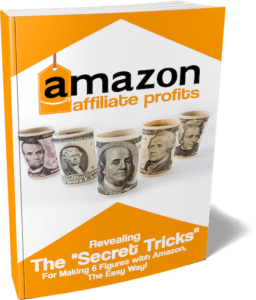 Amazon Affiliate Profits book