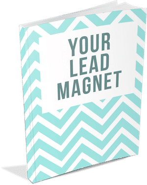 A sample lead magnet book cover