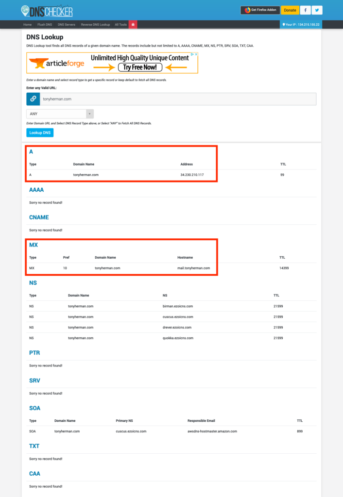 DNS record lookup