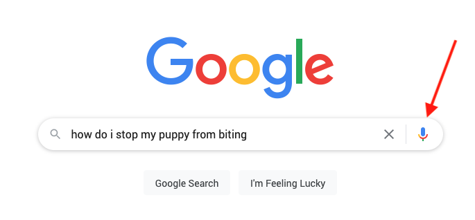 "how do i stop my puppy from biting" in a Google voice search