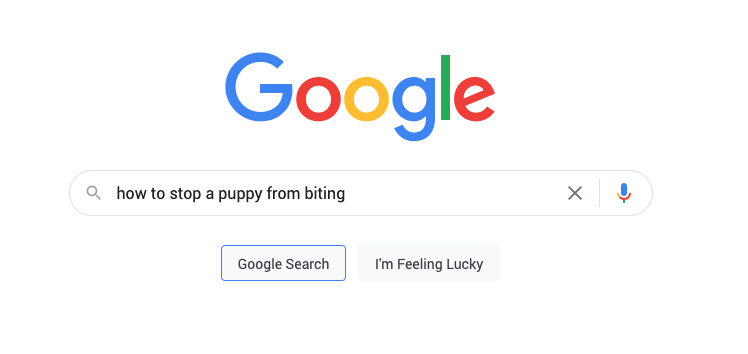 "how to stop a puppy from biting" in a Google search box