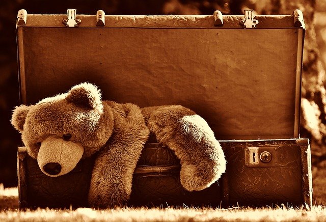 Teddy bear in toy chest